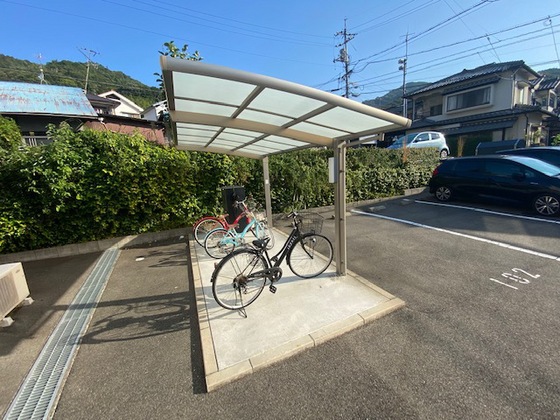 フィカーサミウラ