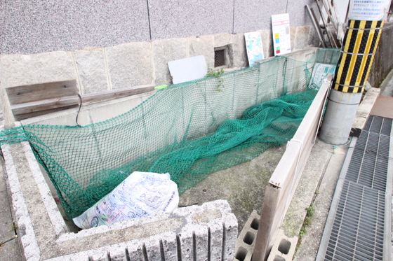 グリューネ B棟