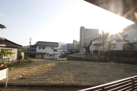 メープル・ソフィア