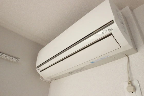 メープル・ソフィア