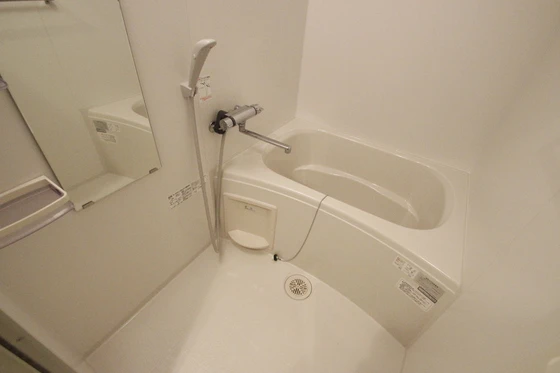 メープル・ソフィア