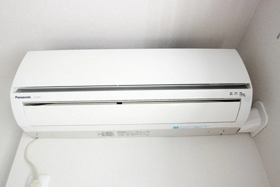 メープル・ソフィア