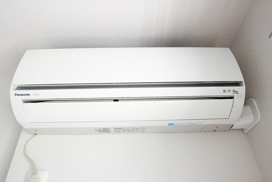 メープル・ソフィア