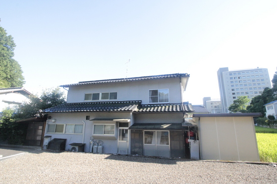 メープル・ソフィア