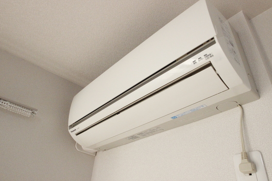 メープル・ソフィア