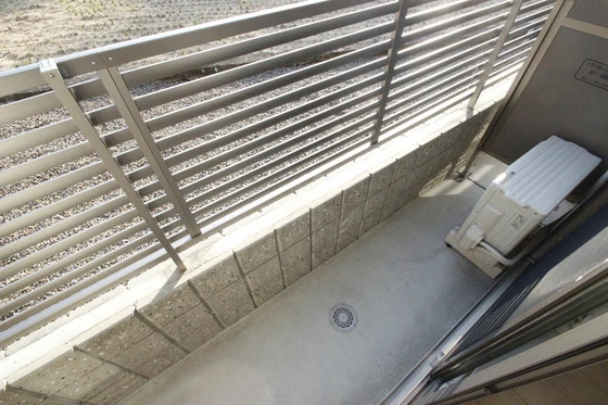 メープル・ソフィア