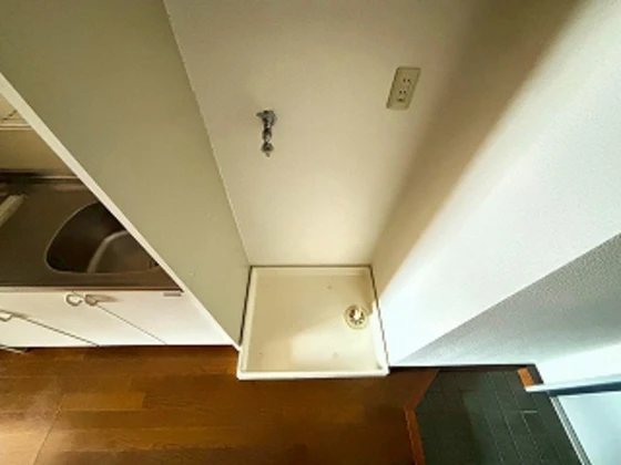 ニューメゾン大州