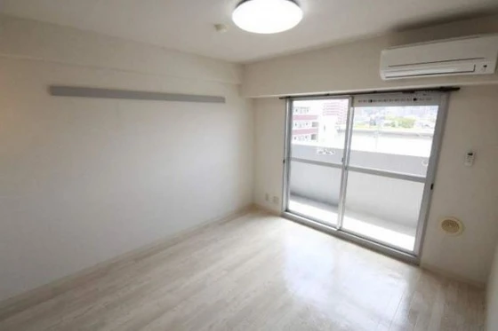 ニューメゾン大州