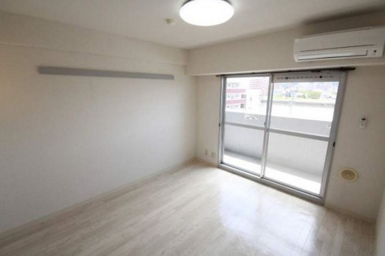 ニューメゾン大州