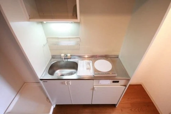 ニューメゾン大州