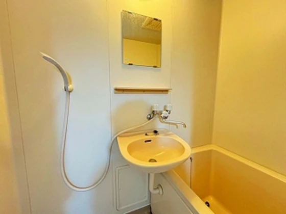 ニューメゾン大州