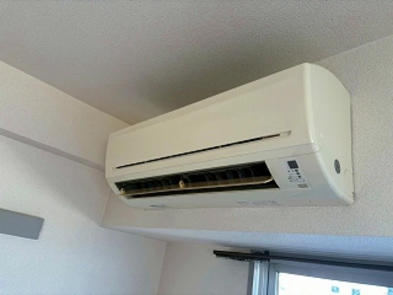 ニューメゾン大州