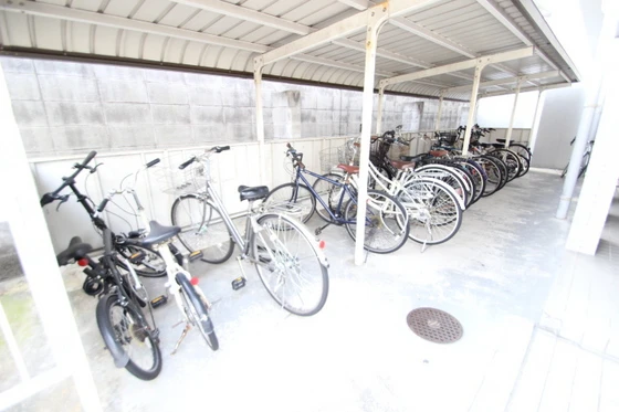 ニューメゾン大州