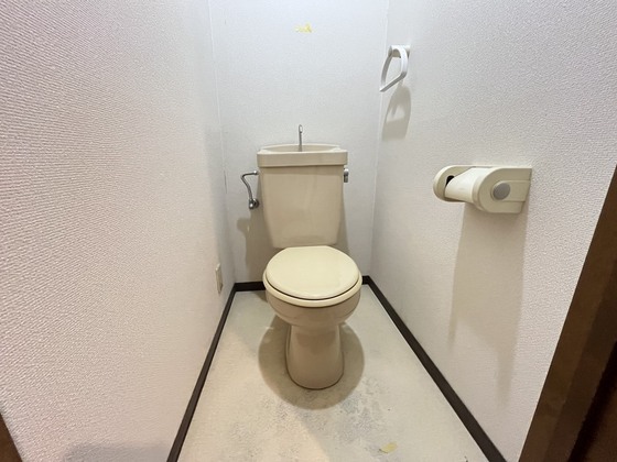 メゾンアルカディア