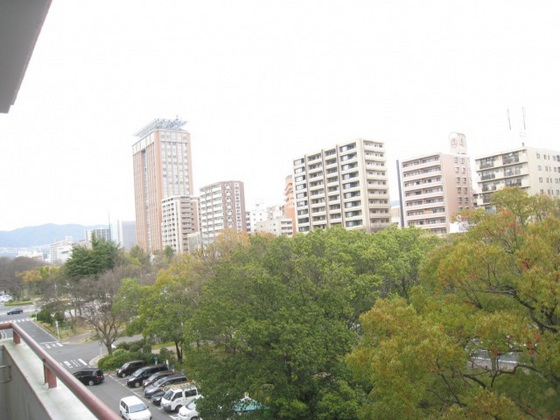 ドリームコーポ平和苑