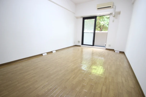 パレ・ルミエール