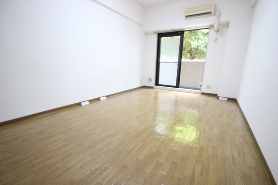 パレ・ルミエール