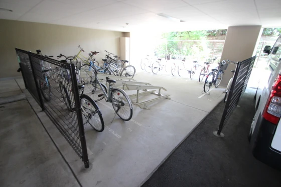 パレ・ルミエール