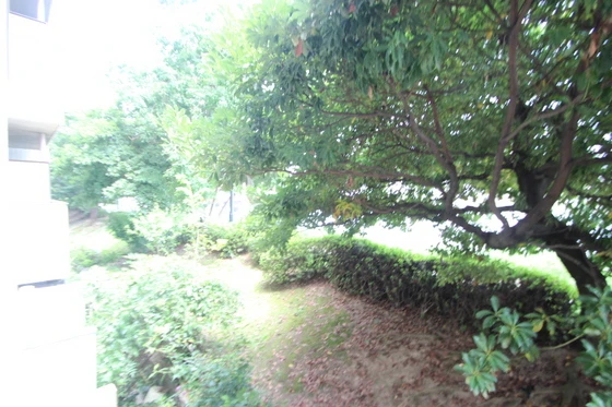 パレ・ルミエール