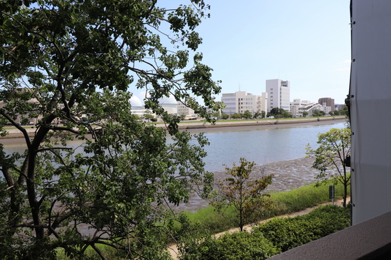 パレ・ルミエール