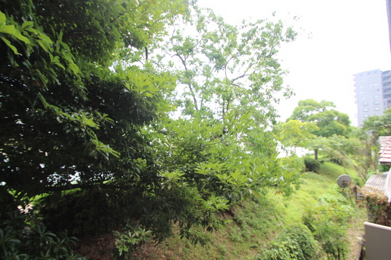 パレ・ルミエール