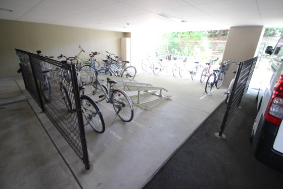 パレ・ルミエール