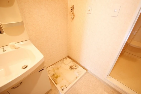 プロスペリティNakamura