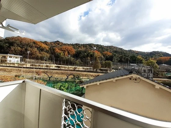 エルディム大本