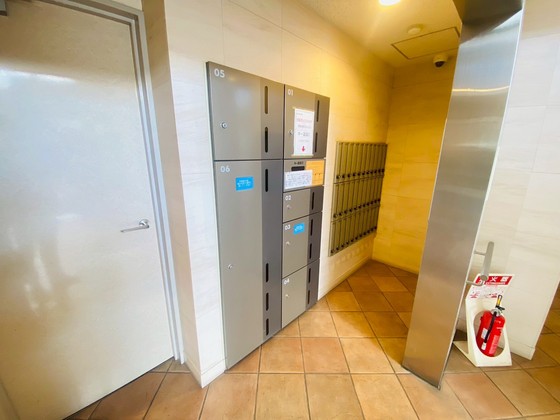 D’Cladear HAKUSIMA