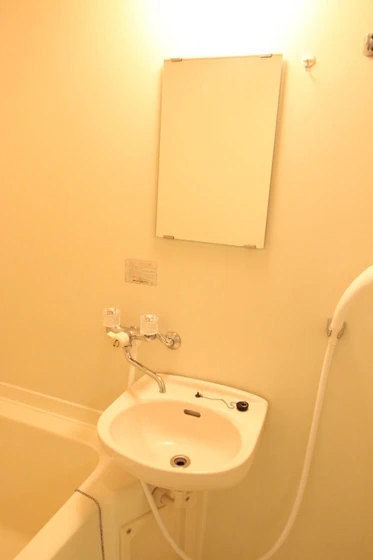 コスモスビルⅡ