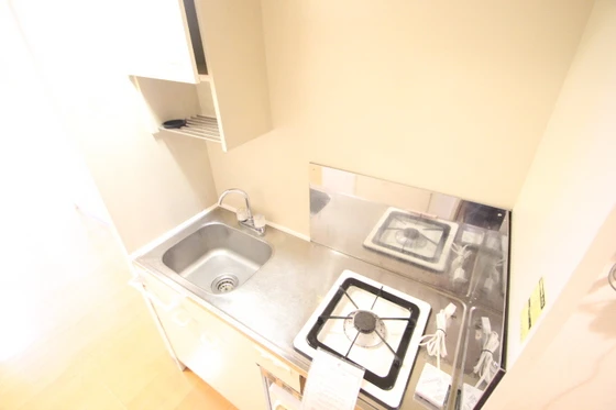 コスモスビルⅡ