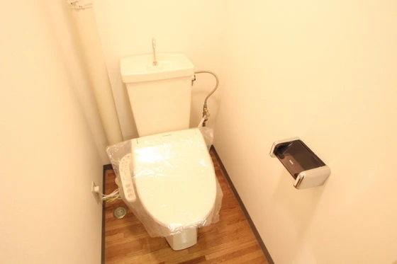 コスモスビルⅡ