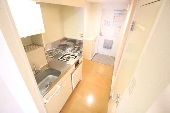 コスモスビルⅡ