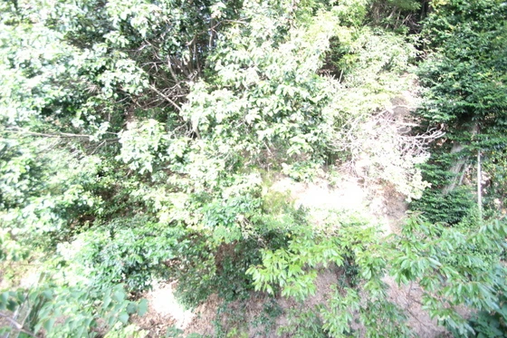 エステート山根