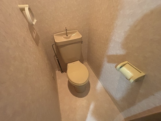 ハーシオンフルタⅢ