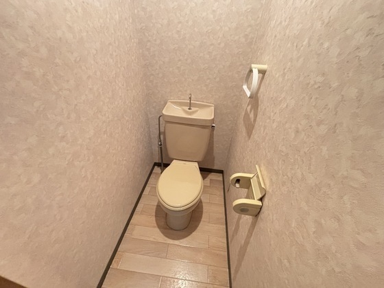 ハーシオンフルタⅢ