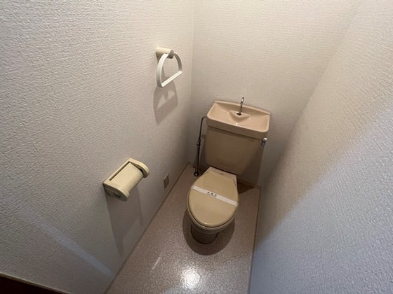 ハーシオンフルタⅢ