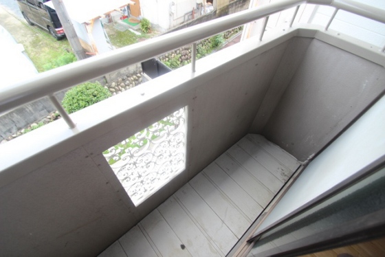 パレーシャル林