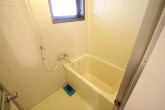 パレーシャル林