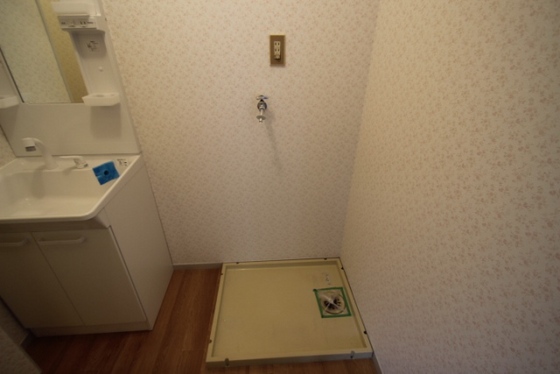 パレーシャル林