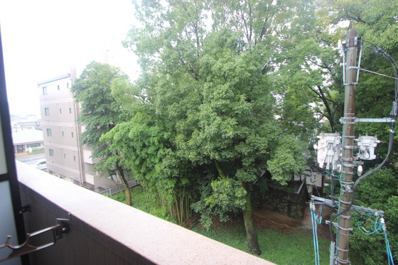 メゾフォルテ大宮