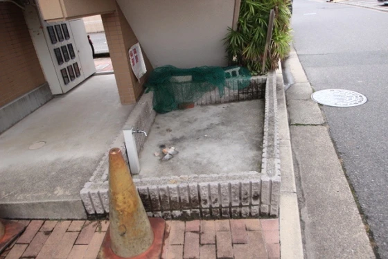 ハイム波多野Ⅱ