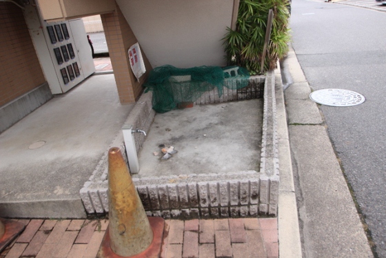 ハイム波多野Ⅱ