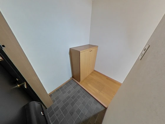 グレイスカワイⅡ