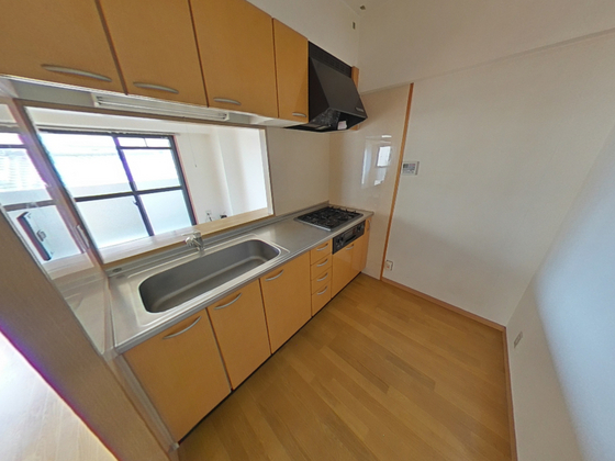 グレイスカワイⅡ