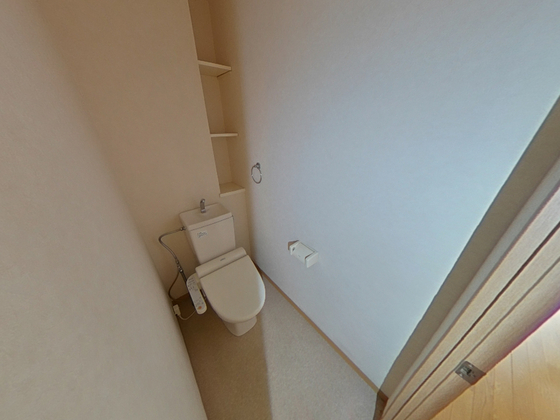 グレイスカワイⅡ