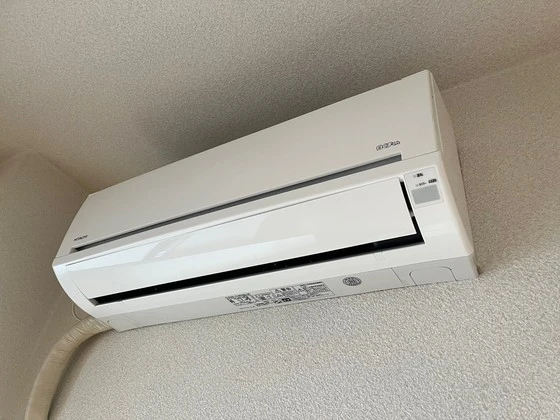 グレイスカワイⅡ