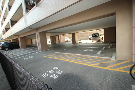 グレイスカワイⅡ