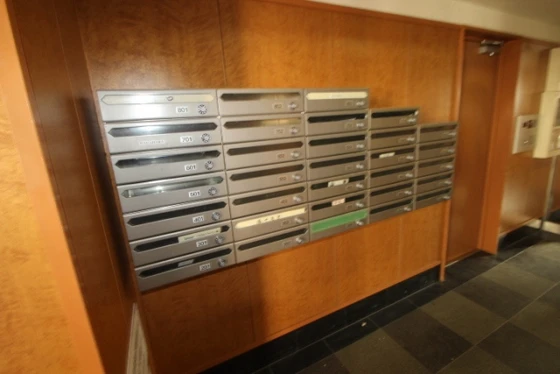 グレイスカワイⅡ