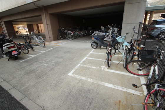 グレイスカワイⅡ